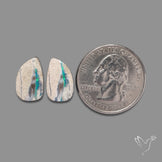Rare Australian Pipe Opals Pair Crystal Pipe Opal (backed)