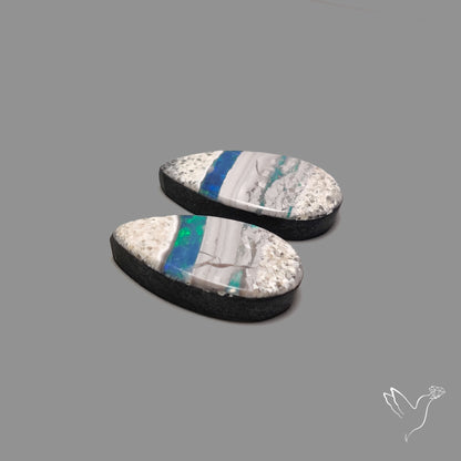 Rare Australian Pipe Opals Pair Crystal Pipe Opal (backed)