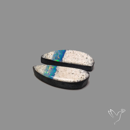 Rare Australian Pipe Opals Pair Crystal Pipe Opal (backed)