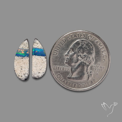 Rare Australian Pipe Opals Pair Crystal Pipe Opal (backed)