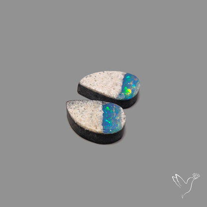 Rare Australian Pipe Opals Pair Crystal Pipe Opal (backed)