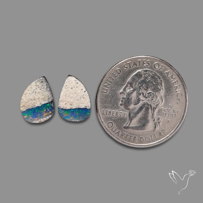 Rare Australian Pipe Opals Pair Crystal Pipe Opal (backed)