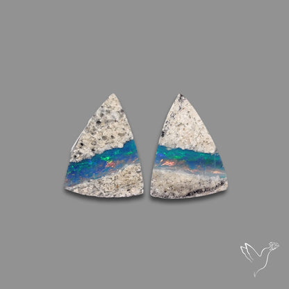 Rare Australian Pipe Opals Pair Crystal Pipe Opal (backed)