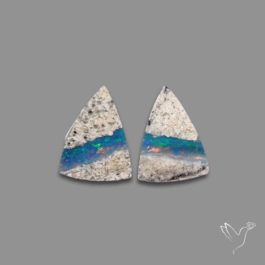 Rare Australian Pipe Opals Pair Crystal Pipe Opal (backed)