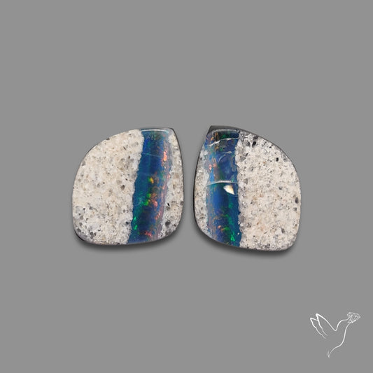Rare Australian Pipe Opals Pair Crystal Pipe Opal (backed)