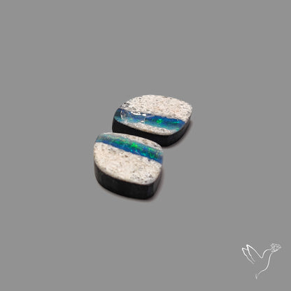 Rare Australian Pipe Opals Pair Crystal Pipe Opal (backed)