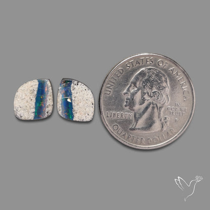 Rare Australian Pipe Opals Pair Crystal Pipe Opal (backed)