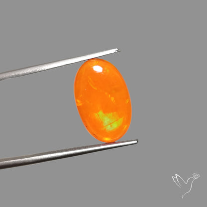 Mexican Fire Opal Cabochon