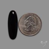Long Black Onyx Smooth Cabochon