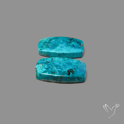 Shattuckites Chrysocolla Pair