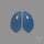 Namibian Blue Chalcedony Pair Natural Deep Lavender Blue