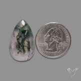 Moss Agate Cabochon