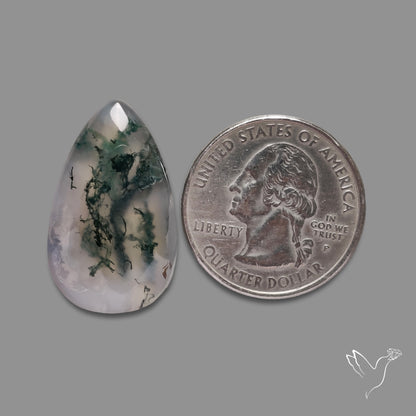 Moss Agate Cabochon