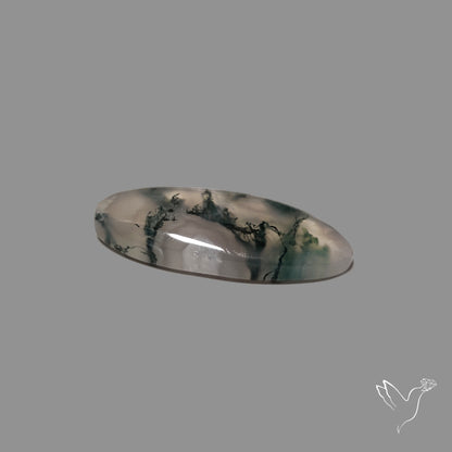 Moss Agate Cabochon