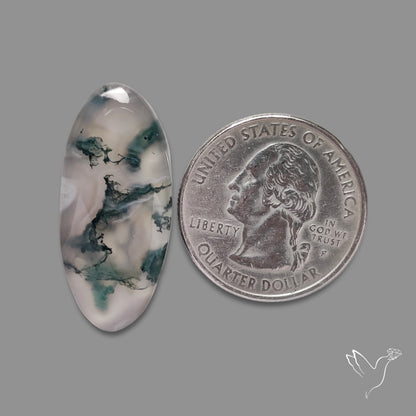 Moss Agate Cabochon