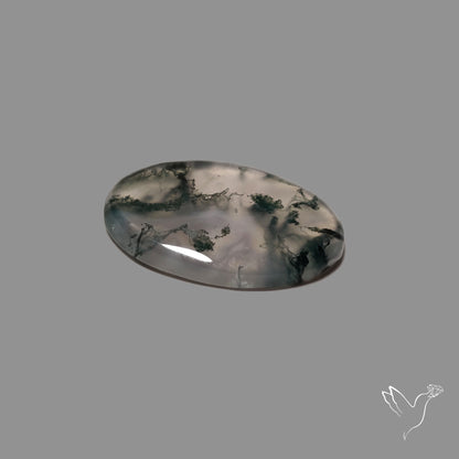 Moss Agate Cabochon