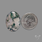 Moss Agate Cabochon