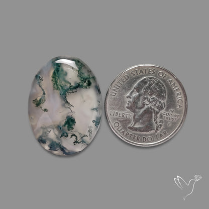Moss Agate Cabochon