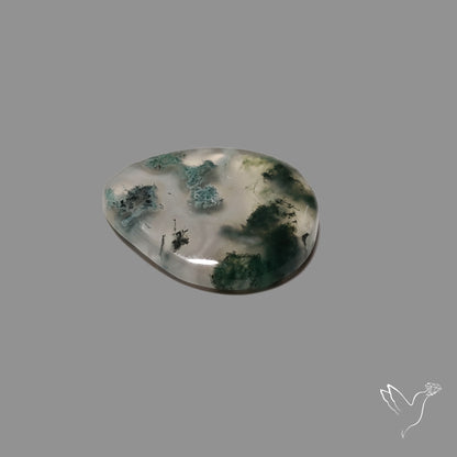 Moss Agate Cabochon
