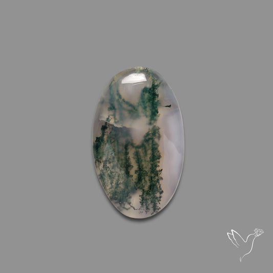 Moss Agate Cabochon