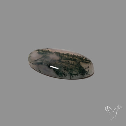 Moss Agate Cabochon