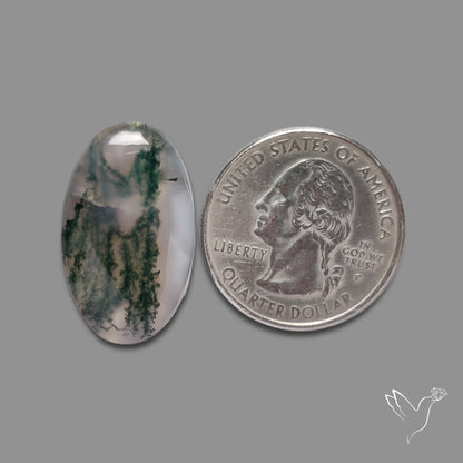 Moss Agate Cabochon