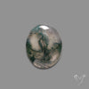 Moss Agate Cabochon