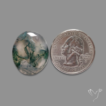 Moss Agate Cabochon