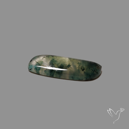Moss Agate Cabochon