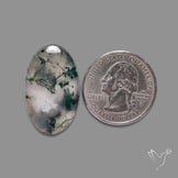 Moss Agate Cabochon