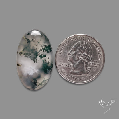 Moss Agate Cabochon