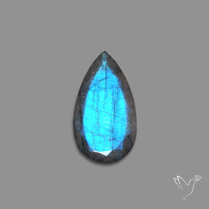 Portrait Cut Blue Labradorite
