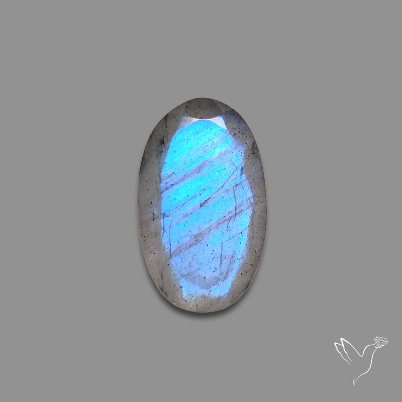 Portrait Cut Blue Labradorite
