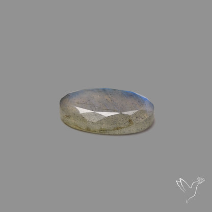 Portrait Cut Blue Labradorite
