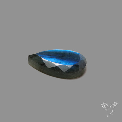 Portrait Cut Blue Labradorite