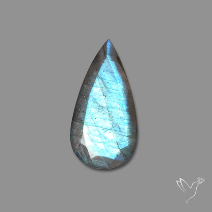 Portrait Cut Blue Labradorite