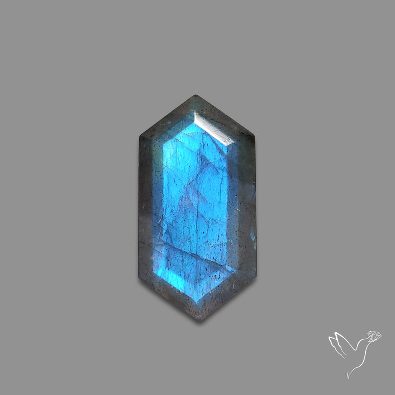 Portrait Cut Blue Labradorite