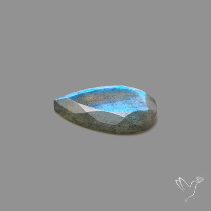 Portrait Cut Blue Labradorite