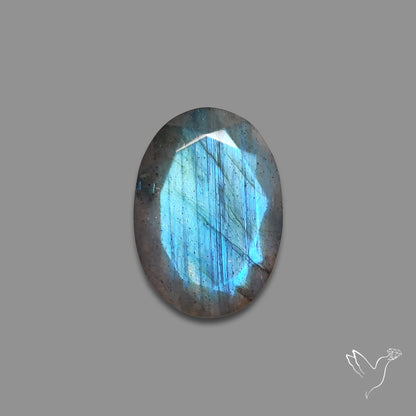 Portrait Cut Blue Labradorite