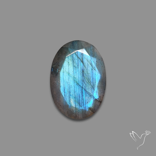 Portrait Cut Blue Labradorite