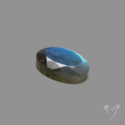 Portrait Cut Blue Labradorite
