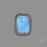 Portrait Cut Blue Labradorite