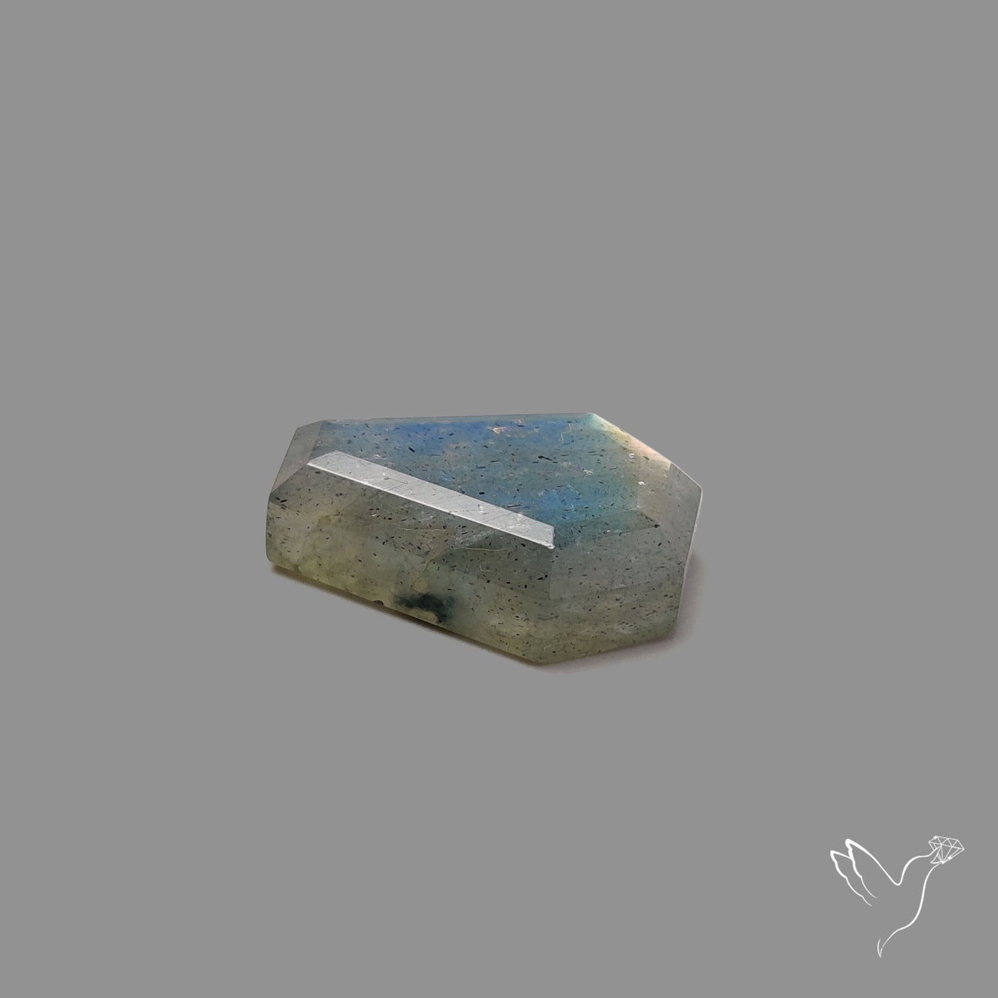Portrait Cut Blue Labradorite