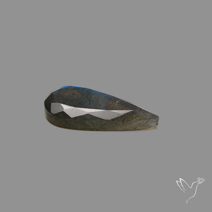 Portrait Cut Blue Labradorite