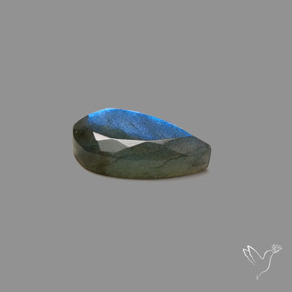 Portrait Cut Blue Labradorite
