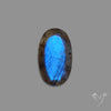 Portrait Cut Blue Labradorite
