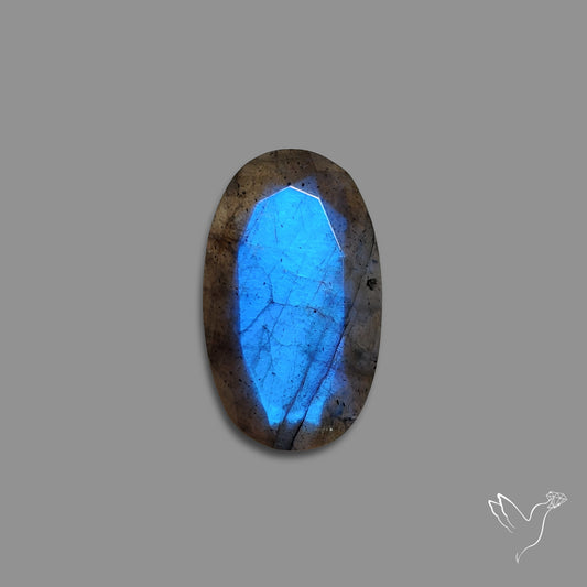 Portrait Cut Blue Labradorite