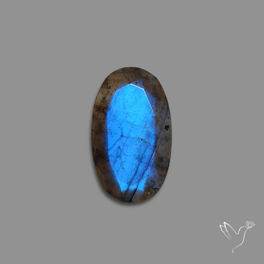 Portrait Cut Blue Labradorite