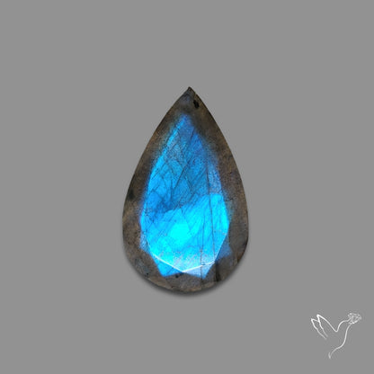 Portrait Cut Blue Labradorite