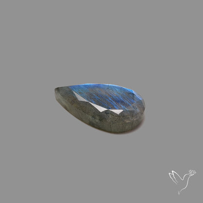 Portrait Cut Blue Labradorite